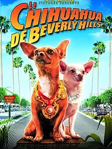 Le Chihuahua de Beverly Hills