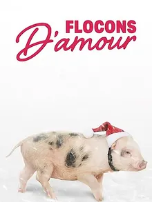 Flocons d'amour