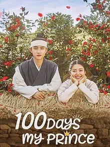 100 Days My Prince