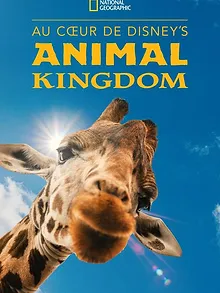 Au cœur de Disney's Animal Kingdom