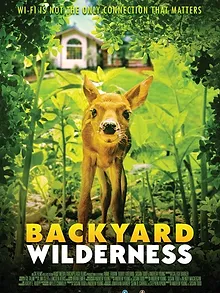 Backyard Wilderness
