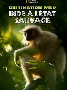 Destination Wild : L'Inde à l'état sauvage