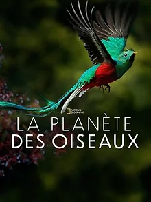 Planète des oiseaux