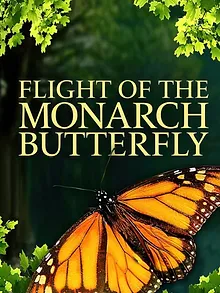 L'Incroyable Migration des papillons