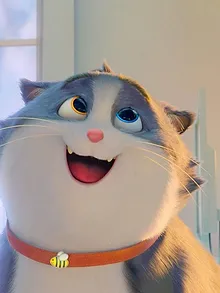 Croquette le chat merveilleux