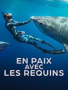 En paix avec les requins