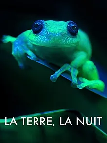 La Terre, La Nuit