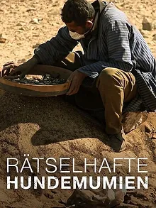 Rätselhafte Hundemumien