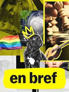 En bref