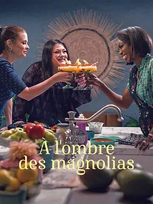 À l'ombre des magnolias