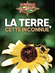 La Terre, cette inconnue