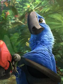 Rio 2