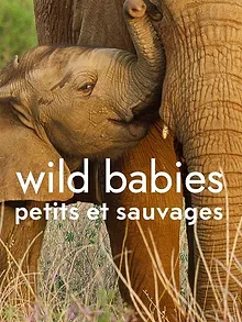 Wild Babies : Petits et Sauvages