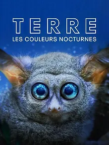 Terre : les couleurs nocturnes