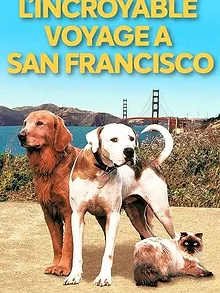L'Incroyable Voyage 2 - À San Francisco