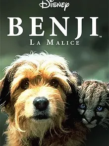 Benji la malice
