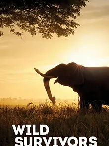 Wild Survivors