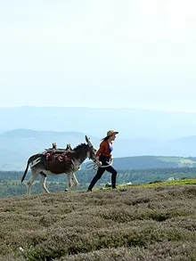 Antoinette dans les Cévennes