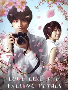 Love Like the Falling Petals