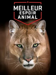 Meilleur espoir animal