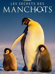 Les Secrets des manchots