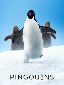 Pingouins