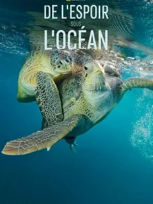 De l'espoir sous l'océan