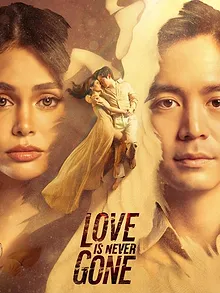 Love Is Never Gone