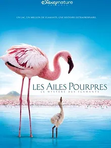 Les Ailes pourpres : Le Mystère des flamants