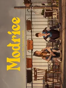 Modrice