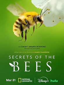Les Secrets des abeilles