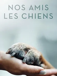 Nos amis les chiens