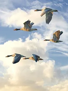 Ik ben Martin Parr - fotograaf