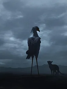 Flow, le chat qui n'avait plus peur de l'eau