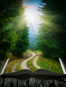 Le Seigneur des anneaux : La Communauté de l'anneau