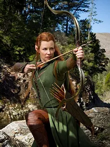 Le Hobbit : La Désolation de Smaug
