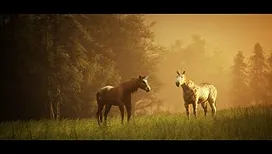 Fan de la fantasy&nbsp;? Ce mercredi soir, France 5 décrypte le genre avec au programme&nbsp;: des images spectaculaires et des intervenants de renom&nbsp;!