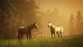 Fan de la fantasy ? Ce mercredi soir, France 5 décrypte le genre avec au programme : des images spectaculaires et des intervenants de renom !