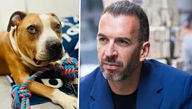 «&nbsp;On savait que ce serait court…&nbsp;»&nbsp;: Sarko, le chien recueilli par Vincenzo Ciuro et sa femme Olivia, est décédé