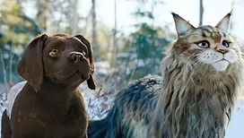 «&nbsp;Chien & Chat&nbsp;»&nbsp;: la comédie familiale d’aventures à ne pas rater ce jeudi soir sur RTL-TVI avec Reem Kherici et Franck Dubosc