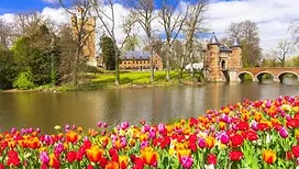 Balades fleuries : quand la Belgique se met au parfum du printemps