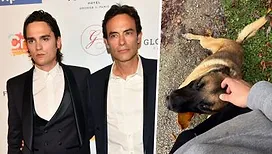 « Trois balles, 40 minutes d’agonie » : Alain-Fabien Delon accuse son frère Anthony d’avoir tué son chien, dévoilant de terribles images