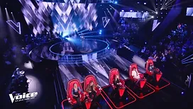 Ce petit détail que vous n’avez pas remarqué lors de la prestation d’un candidat dans «The Voice» sur TF1 : « Avec la discrète diode sur le côté... »