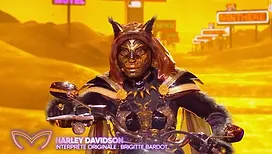 « Mask Singer » : quelle personnalité se cachait sous le costume de la Panthère ?