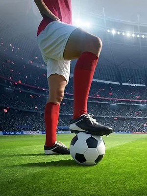 Premier League : Highlights