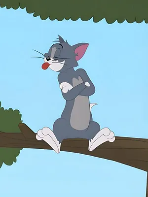 Tom et Jerry Show S4 E33