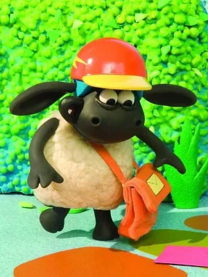 Voici Timmy S2 E10