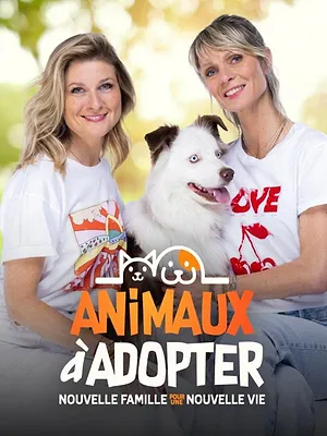 Animaux à adopter : nouvelle famille pour une nouvelle vie
