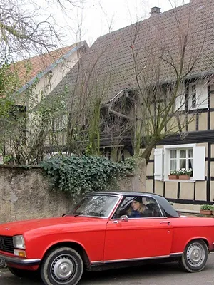 Les carnets de Julie