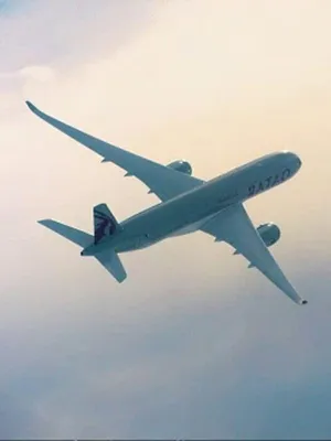 Airbus A350 : la nouvelle star des airs